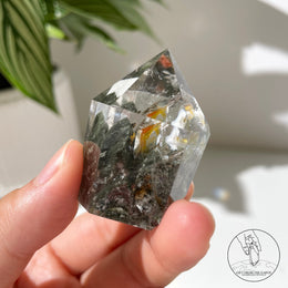 金字塔綠幽靈黃膠花共生柱