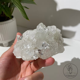 Apophyllite