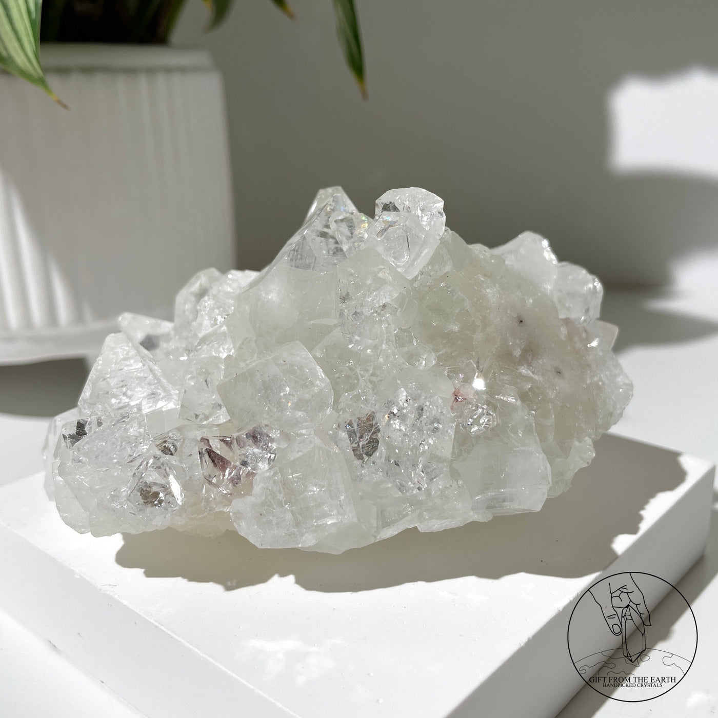 Apophyllite