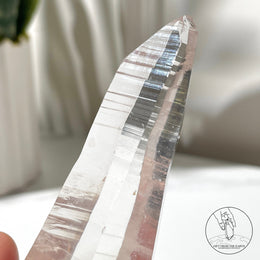 Lemurian Quartz