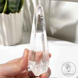 Lemurian Quartz