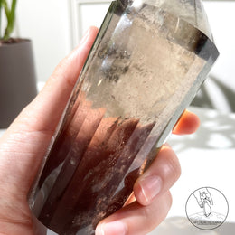 沃格爾茶晶 (24面)