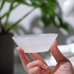 透石膏碗