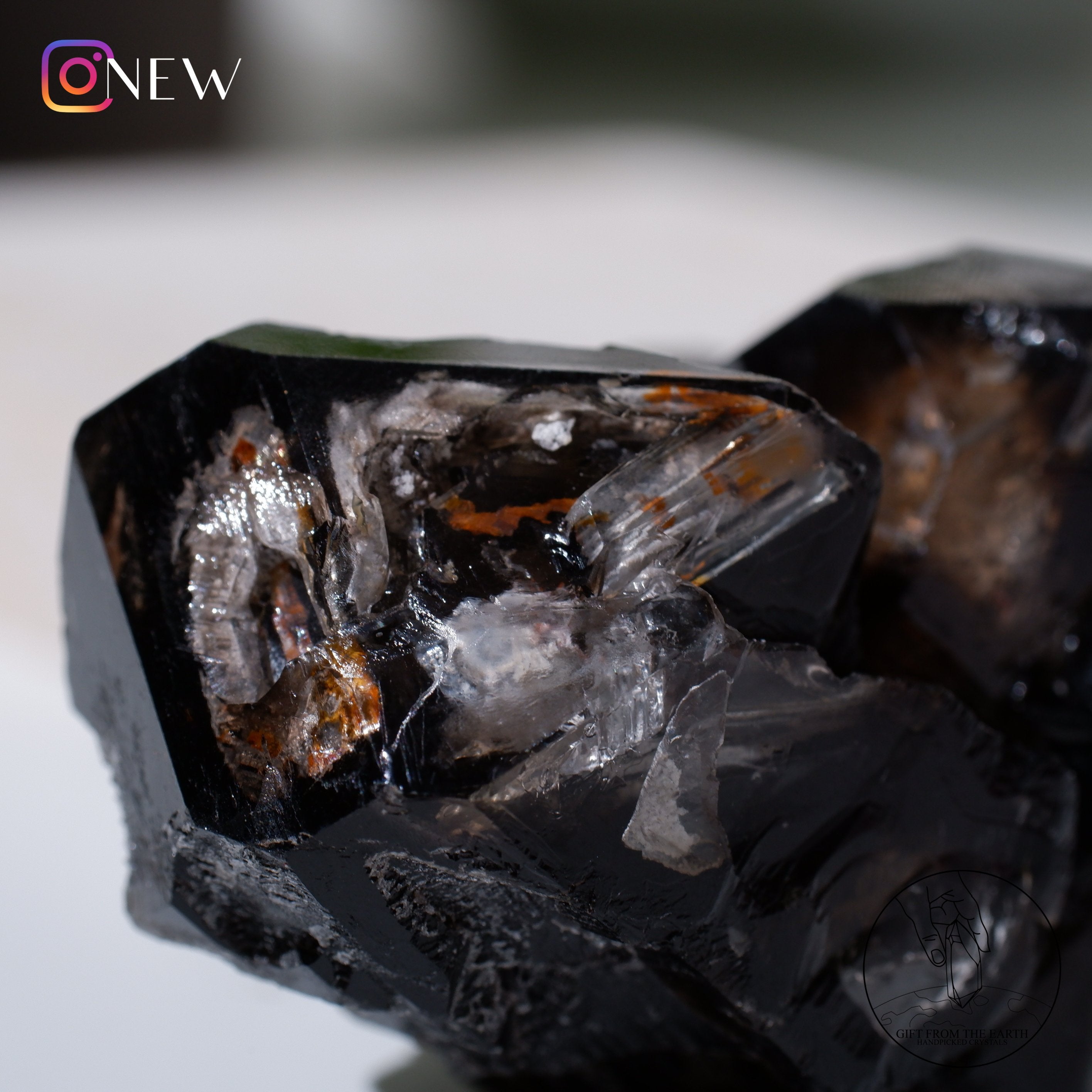 黑水晶骸骨– GFE Handpicked Crystals