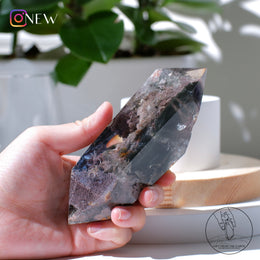 雙尖紫綠幽靈