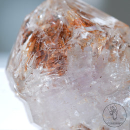 骸骨水晶