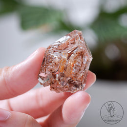 骸骨水晶