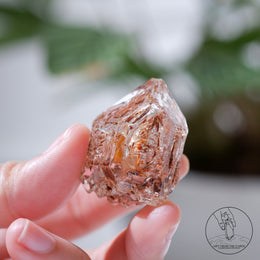 骸骨水晶