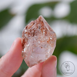 骸骨水晶