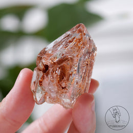 骸骨水晶