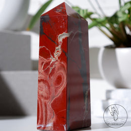 紅碧玉柱白水晶共生