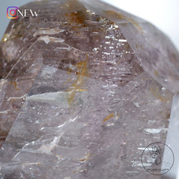 水膽紫骸骨水晶隨形黃金療癒者共生