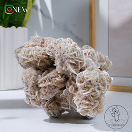 沙漠玫瑰