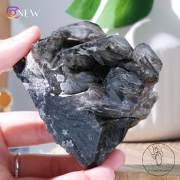 Morion Quartz Skeletal Quartz