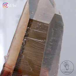 杜氏茶晶