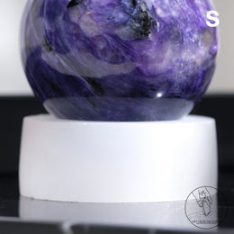 透石膏底座 | S