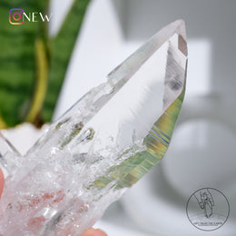 雙生哥倫比亞雷姆利亞水晶