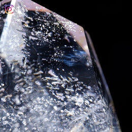 Skeletal Quartz Freeform