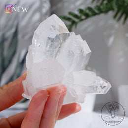 Faden Quartz