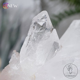 Faden Quartz