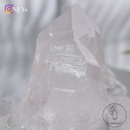 喜馬拉雅白水晶簇綠幽靈共生