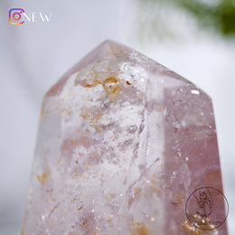 水膽紫骸骨水晶柱