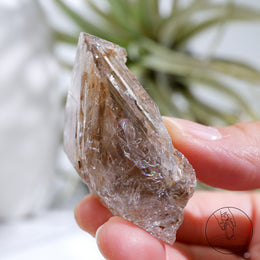 Skeletal Quartz