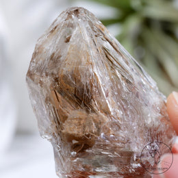 Skeletal Quartz