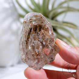 Skeletal Quartz