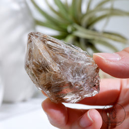 Skeletal Quartz