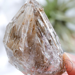 Skeletal Quartz