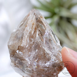 Skeletal Quartz