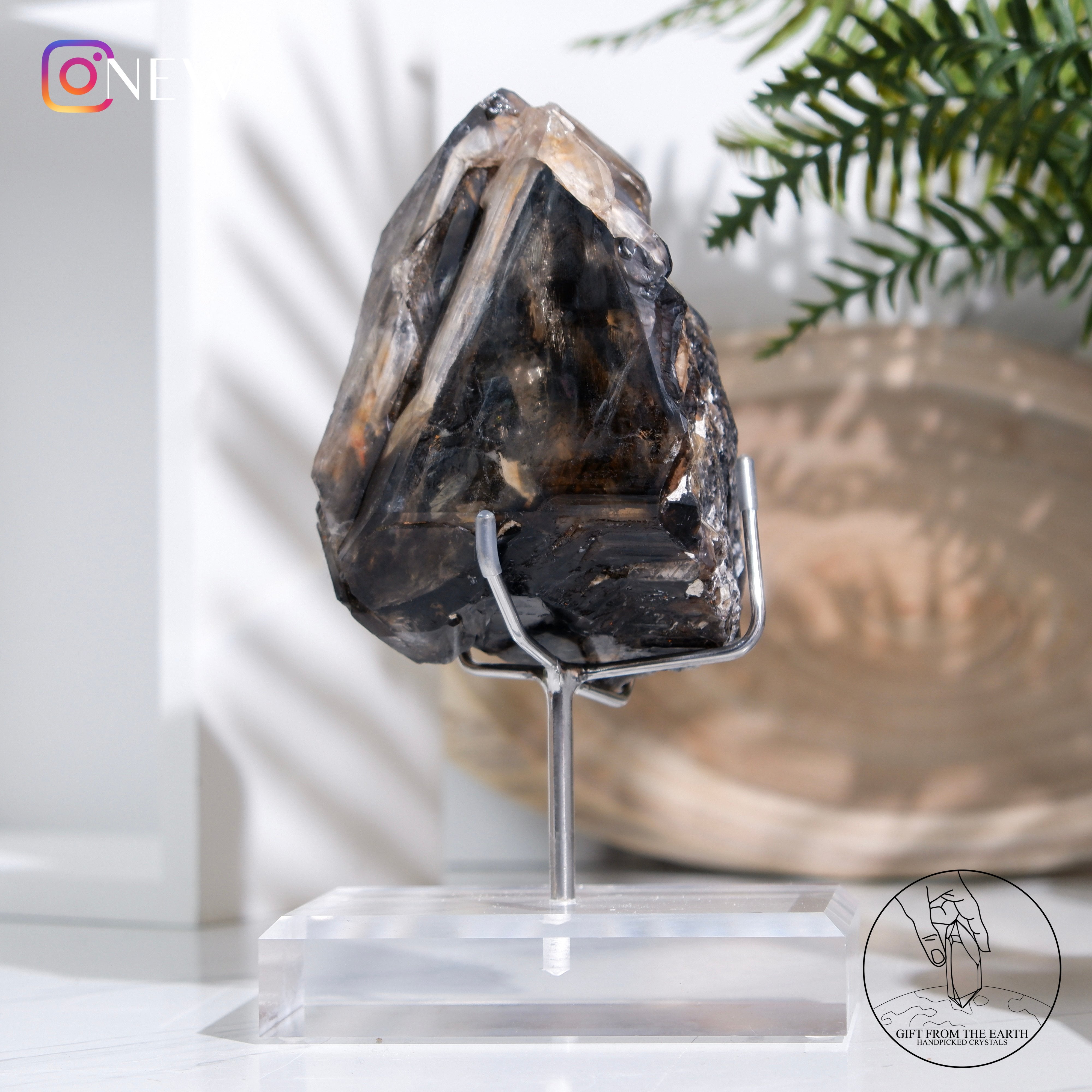 水膽骸骨水晶– GFE Handpicked Crystals