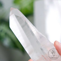 Lemurian Quartz