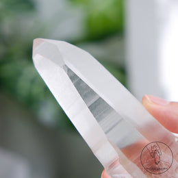 Lemurian Quartz