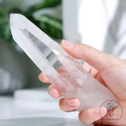 Lemurian Quartz