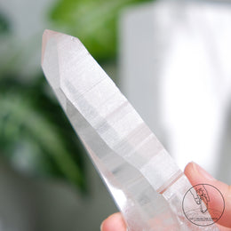 Lemurian Quartz