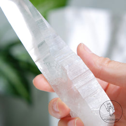 Lemurian Quartz