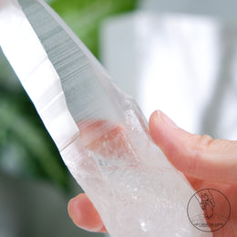 Lemurian Quartz