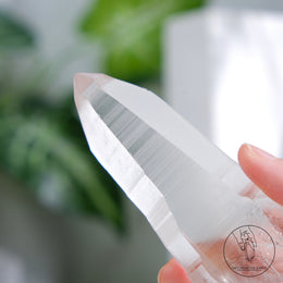 Lemurian Quartz