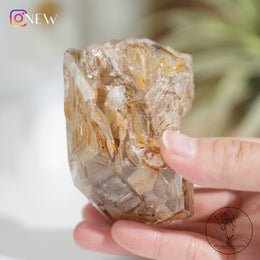 Skeletal Quartz