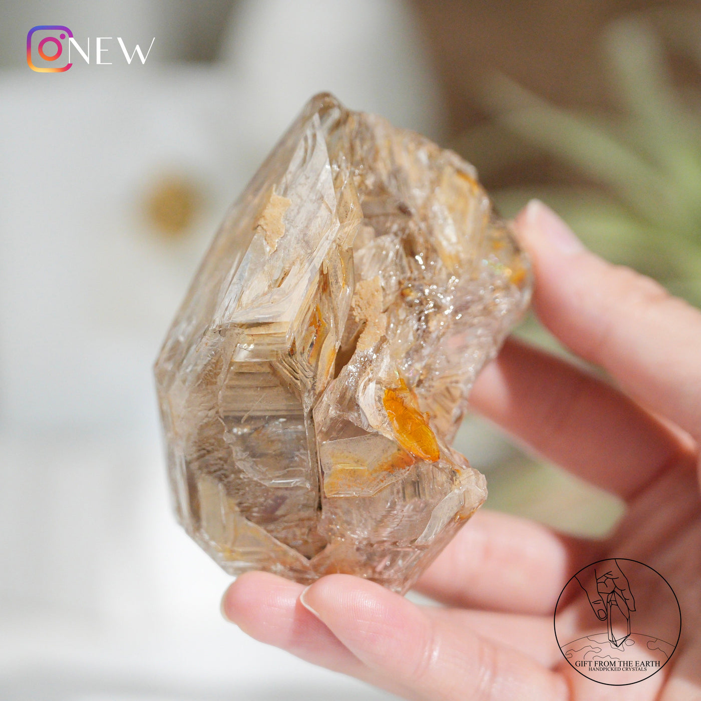 Skeletal Quartz