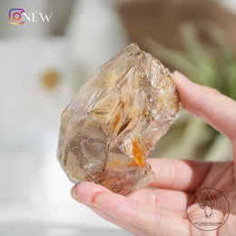 Skeletal Quartz