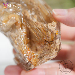 Skeletal Quartz