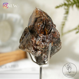 黃金療癒者黃泥茶體骸骨水晶