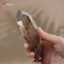 杜氏茶晶