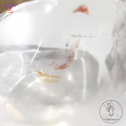 白水晶碗火晶、黃金療癒者共生