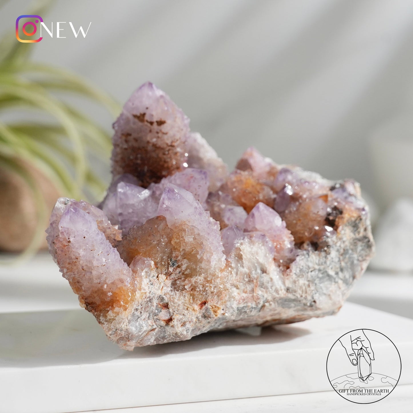 South African ametrine spirit quartz