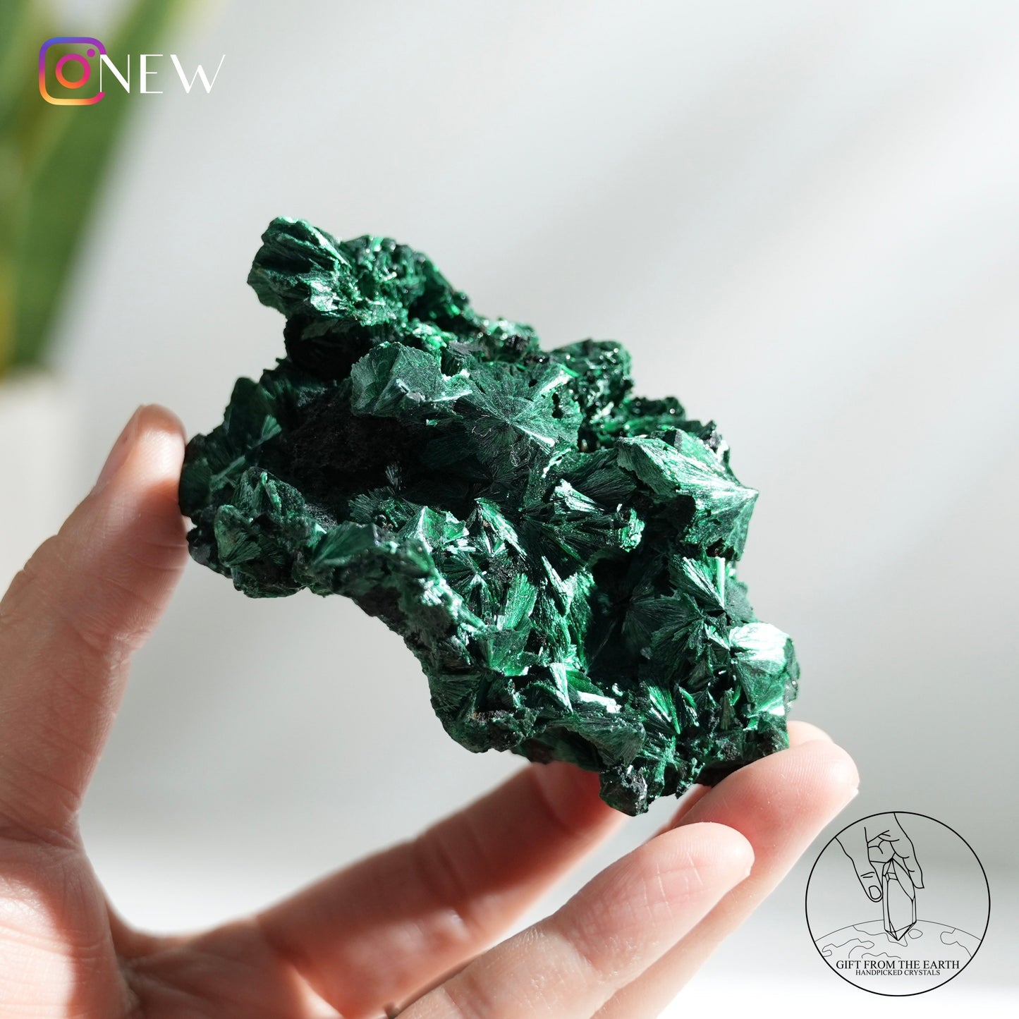 Malachite 