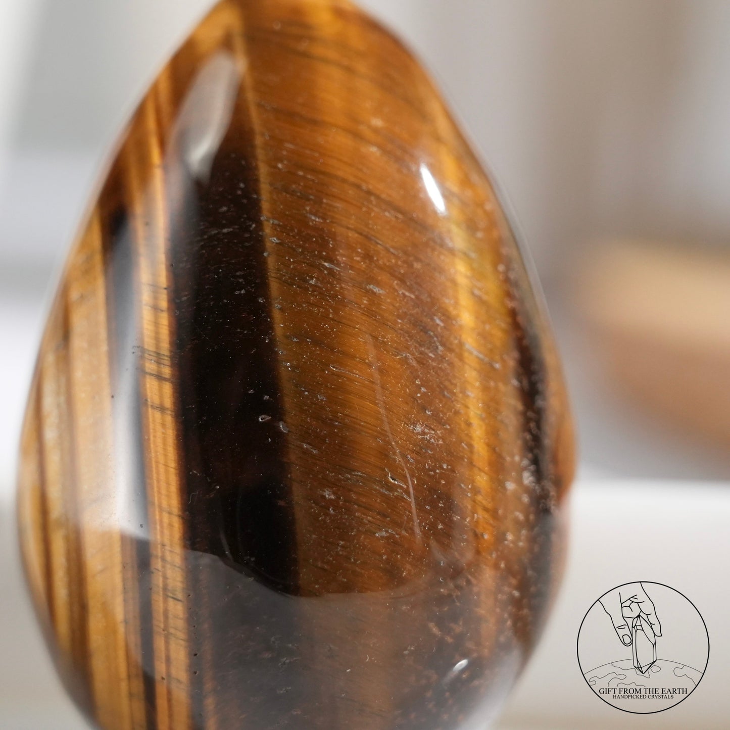 Yellow tiger's eye egg